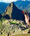 Machu Picchu Tours