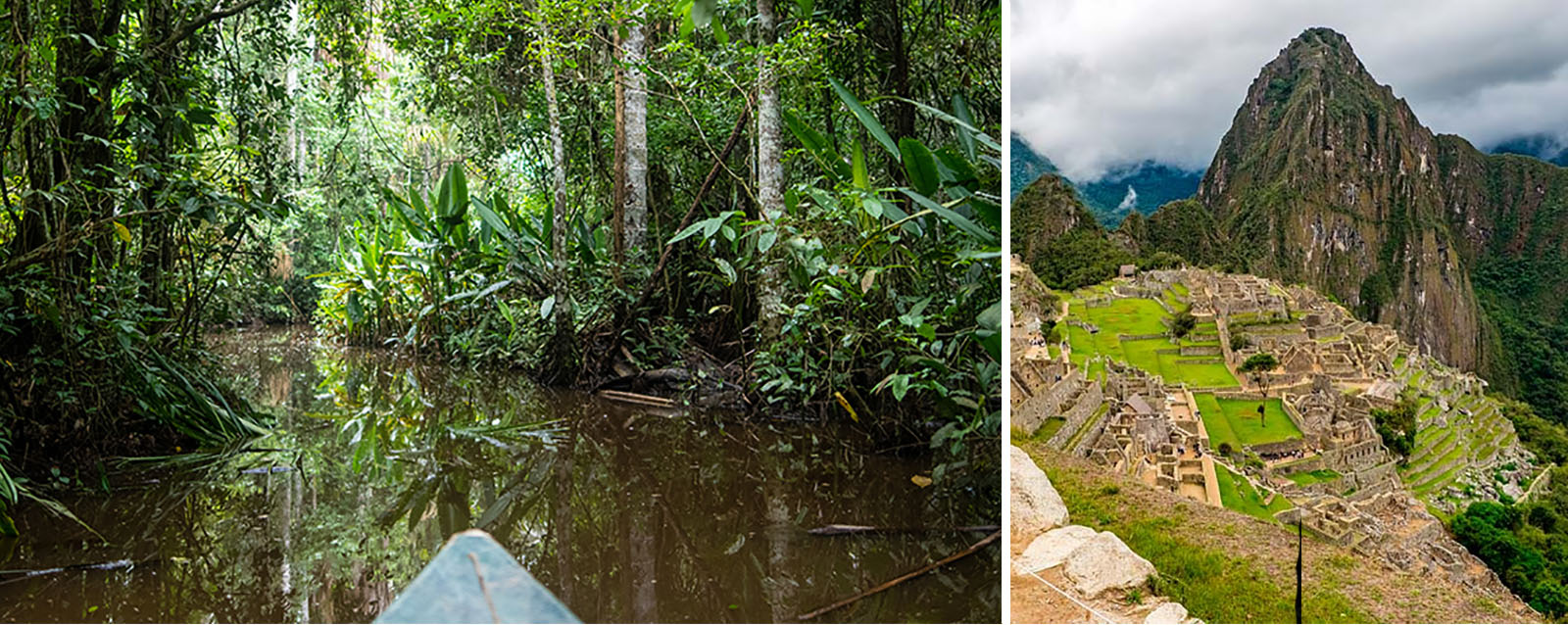 Amazon forest and Machu Picchu Tour